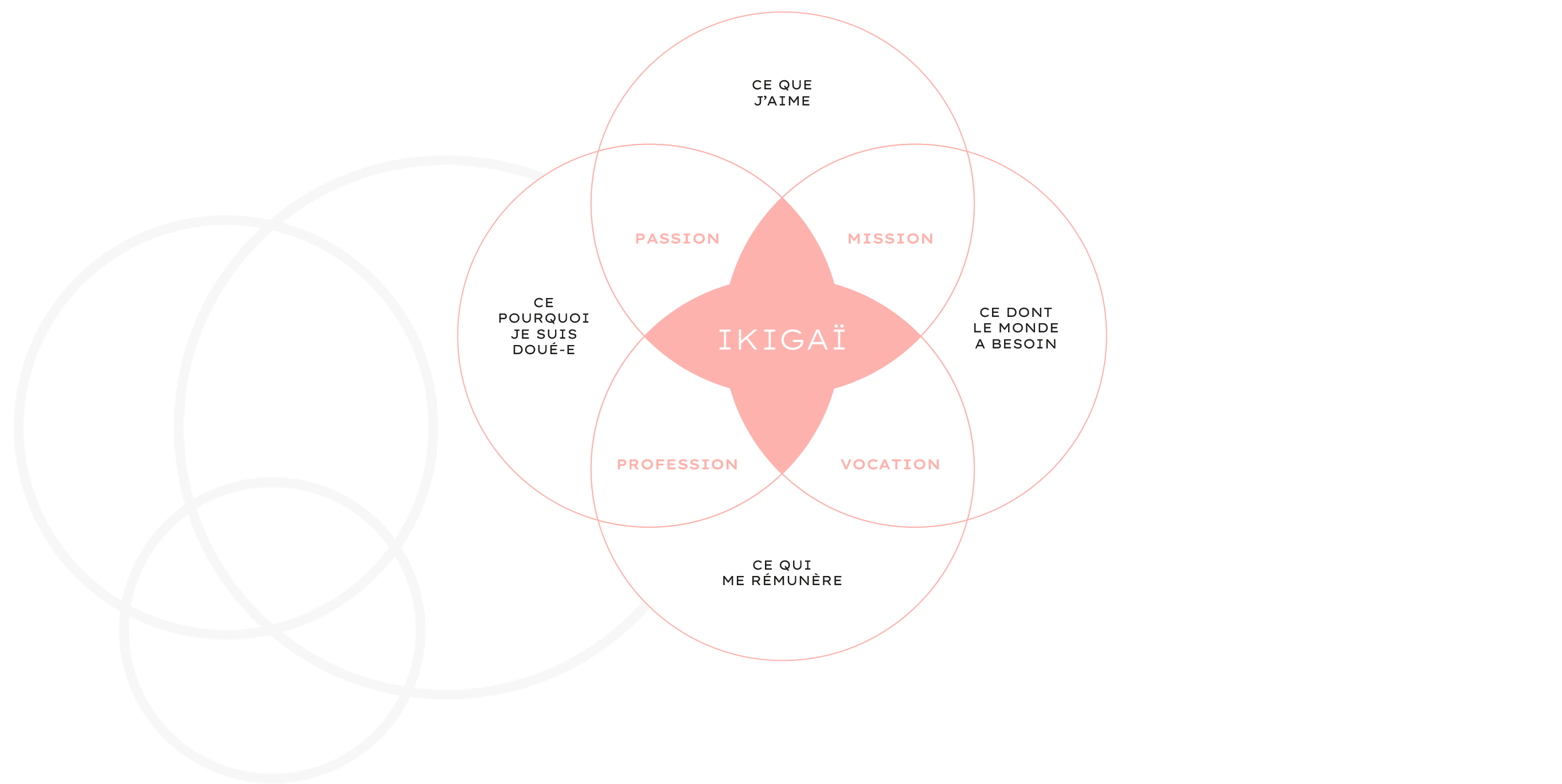 Schéma Ikigai - SB Human Partners - Coaching à Yverdon les Bains